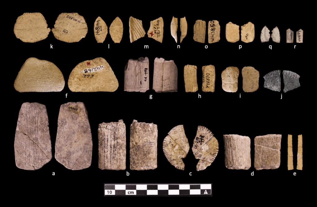 two sided bone structures in varying sizes and shapes with some carvings on some sides. two sides are visible.